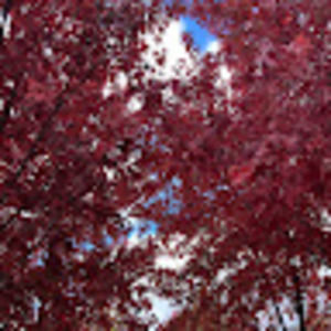 Meet your Posher, Krystal